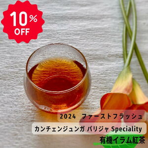 10%OFF X[p[Z[ lp[eB[ J`FWK pW 2024 t@[XgtbV g t eB[obO [t Cg gX g  bT[p_ lp