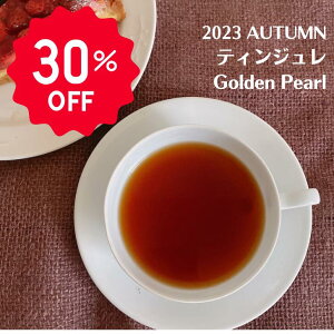 30%OFF X[p[Z[ lp[g CeB[ eBW 2023 I[^ S[fp[ [t eB[obO gX g g t g lp[eB[ lp[ 