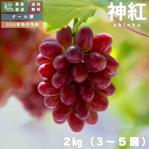 y_ƒ Mtg\2026zY _gi񂭁jIׂe 600g(1[) / 1.2kg(2[) / 2kg(3~5[) N[  Ԃǂ uhE   t[c ʕ 󏭕i Mtg  y8~9