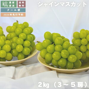 y_ƒ Mtg\2026zY VC}XJbg Iׂe 600g(1[) / 1.2kg(2[) / 2kg(3~5[) N[  Ԃǂ uhE  VC}XJbg t[c ʕ Mtg  