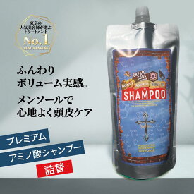 送料無料 メンズ シャンプー アミノ酸 ケラチン 375mL 詰替 デーモン ノンシリコン 泡立ち ダメージ パーマ いい香り 男性 フケ防止 かゆみ 抜け毛 クレンジング 毛穴 頭皮臭 スカルプ パラベンフリー 頭皮 血流 育毛 保湿 シャンプー メンズ いい香り