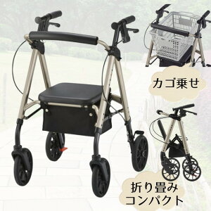yVzOp s AR[Xe STELLA JS悹 ܂肽݁iÊ퐻쏊jOop jp s⏕ yz