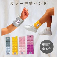 カラー重錘バンド グレー(0.5kg) /イエロー(1kg)/ピンク(1.5kg)/チェリーピンク(2kg) 全4カラー（酒井医…