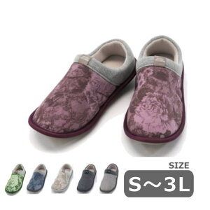  SUTTO FIT-XbgtBbg S`3L p 3E ̔ jp 2246iYƁj