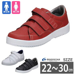 y22-30cmzVXebv07 jp ̔i[X^[j{ }WbNe[vyz