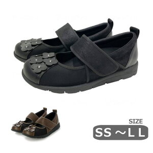ySS-LLzCRAASiN[Xju[P Oop ̔ ubN/uE  ނ݁i@Xj