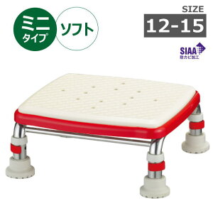  XeX R ҂ \tg ~j^Cv 12-15cm bhiAj536-472