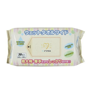 y@pEFbgeBbVz EFbg^ICh (60×30cm) 30 mAR[  CcL