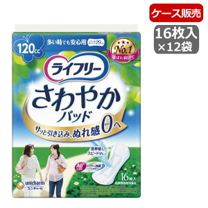 yP[X̔zpivL^ APApbh Ct[ ₩pbh łSp z120cc 16×12 ij`[j52224yz