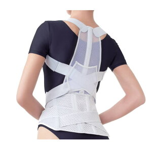 ҂̍琳pxg@M-L L-LL LL-3LiAt@bNXj yz