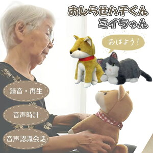 yR~jP[Vl`z点n`/点~CiQnd@jdrʔ yzyԕiszF ^Đ v J_[ ai {bg ybg  L 
