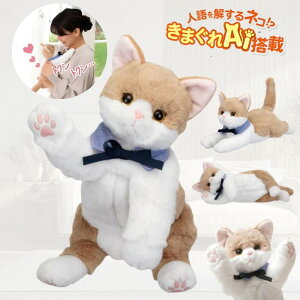 y|Cg3{zyR~jP[Vl`zȂ݃P[Vɂ ʂiCjyzL ʂ F AI ۓ l ai {bg ybg R~jP[Vl