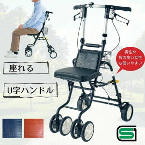 �e�m�[��EVO �N���R�_�C��BK/NB/BR �j�������E�����͔w�̍��������� �V���o�[�J�[ �i�����쏊�j�y���������zSG�}�[�N 4�� �y�� �R���p�N�g �a�m �r�j�[�����U�[ �艟���� �V�l ����� �V�j�A�J