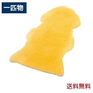 i[VObO ×p V[vXL C NR-1P iEFt@j