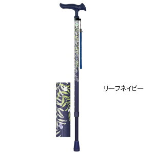 yLkz邪t@2 LkitWz[jA~ y Xgbvt p XlbN Lk p ₷ ɂȂ  nr Ep ₷ ɂ 