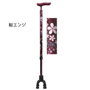 ���i�摜