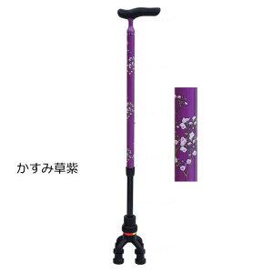 yېŁzl_҂肭 i쏊j81MC-4/81MC-F9 bsOs