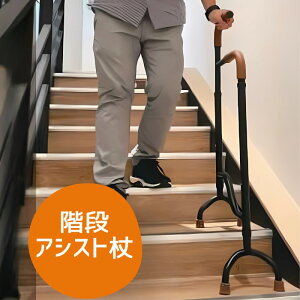 _N[|zz^Kip KiAVXg@Stair Assist CaneiSAC)@4_ XebL ω׏d136kg iv~A{jSAC03y[J[zyzyېŁzyhV̓z