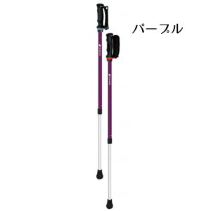 あんしん2本杖(2本組)日本製 ウォーキング用 両手用 全5色(シナノ)【送料無料】転倒予防 正しい歩行 SGマーク 軽量 二本杖 つえ 杖 運動 トレイル 高齢者 老人 シニア リハビリ 散歩 公園