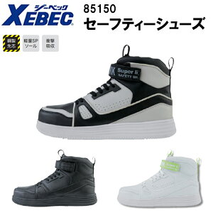 y30.0cmzW[xbN XEBEC Z[teB[V[Y 85150 23.0cm-30.0cm |c ySP\[ Ռz 4E݌v |c v JWA[N ƕ