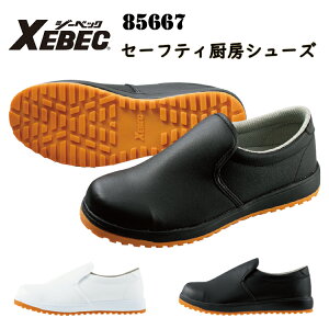 y9SSԃGg[P10{zW[xbN 85667 Z[teB~[V[Y 30.0cm c jp ϖS R hL ySP\[ ϊ\[ Ռz 4E K{ACe XEBEC