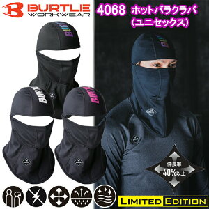 [] ƕ ƒ o[g BURTLE zbgoNo jZbNX 4068 H~ Ci[  2024NH~V ڋ