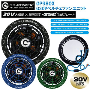 �ySS���ԃ|�C���g10�{�z�y���������z���M�W���p�� GB-POWER GP980X G30V�y���`�F�t�@�����j�b�g �󒲃E�G�A �M���Ǒ΍� �ėp ������ �ڋ� 2026SS�V���i