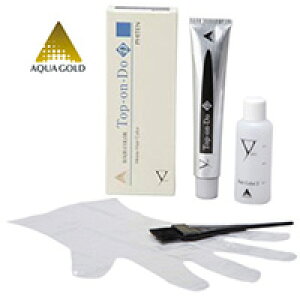 t@Ce Top-on-Do D i߁j BE6FCguE