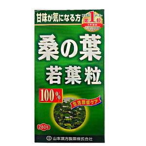 R{ K̗t100 250mg×280