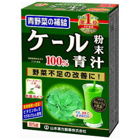 山本漢方 ケール粉末100％ 青汁 85g