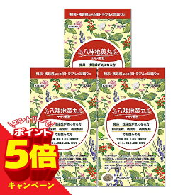 【エントリーでP5倍】【第2類医薬品】八味地黄丸エキス顆粒 2.5g×24包 (はちみじおうがん / ハチミジオウガン)