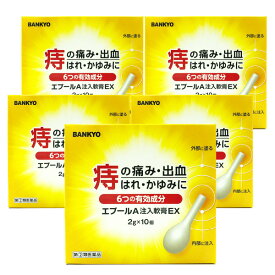 【第(2)類医薬品】エプールA注入軟膏EX 2g×10個入 5個セット 送料無料 / 外用痔疾用薬 痔薬 痔 軟膏