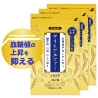 【第3類医薬品】ケイヒアルファー錠 生薬製剤 360錠 3個セット 送料無料 /漢方 桂皮 ケイヒ 生薬 糖尿病 …