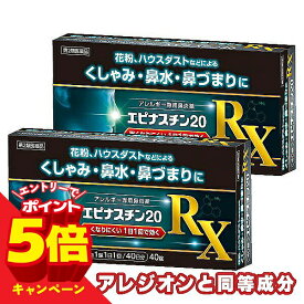 【エントリーでP5倍】【第2類医薬品】エピナスチン20 RX 鼻炎薬 花粉症薬 40錠 2個セット ※セルフメディケーション税制対象商品 メール便送料無料
