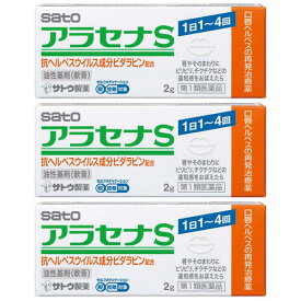 【第1類医薬品】 アラセナS 2g×3個セット ※セルフメディケーション税制対象商品 口唇ヘルペス メール便送料無料