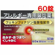 【第2類医薬品】フェキソフェナジン錠SX 60錠 ※セルフメディケーション税制対象商品 メール便送料無料