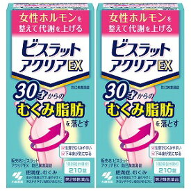 【第2類医薬品】 小林製薬 ビスラットアクリアEX 210錠×2個セット