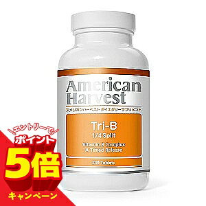 �y�G���g���[��P5�{�z�A�����J���n�[�x�X�g Tri-B 1/4 Split (�g��-B 1/4�X�v���b�g) 240�� 21993-240X ��������