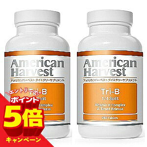 �y�G���g���[��P5�{�z�A�����J���n�[�x�X�g Tri-B 1/4 Split (�g��-B 1/4�X�v���b�g) 240��×2�Z�b�g 21993-240X