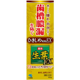 小林製薬 薬用 生葉EX 100g 医薬部外品