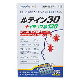 サプリアート ルテイン30+イチョウ葉120 60カプセル