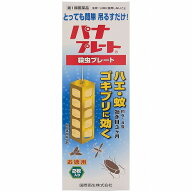 【第1類医薬品】 パナプレートLW 120g×2枚入