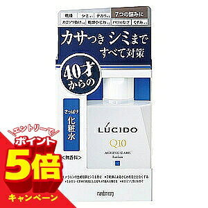 �y�G���g���[��P5�{�z���V�[�h(LUCIDO) ��p �g�[�^���P�A���ϐ� 110ml �y��򕔊O�i�z