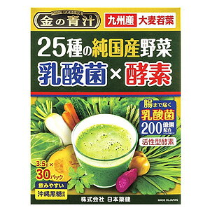 金の青汁 25種の純国産野菜 乳酸菌×酵素 30包
