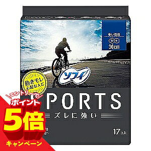 �y�G���g���[��P5�{�z�\�t�B SPORTS ������p 300 �H�� 17�R��