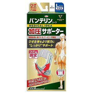 oeR[ T|[^[ Ђp Œ^Cv zCg 傫 LTCY 