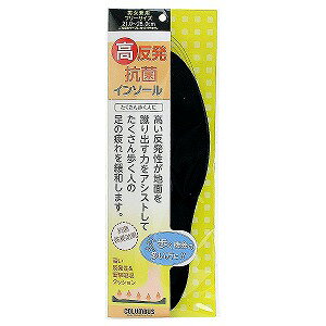 RuX RۃC\[ jp t[TCY 1