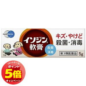 「7/26AM1:59迄エントリーでP5倍」【第3類医薬品】イソジン 軟膏 5g メール便送料無料