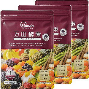 cyf MULBERRYi}x[j y[Xg ^Cv 2.5g×31 [֑