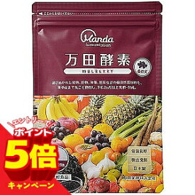 【エントリーでP5倍】万田酵素 MULBERRY（マルベリー） ペースト 分包タイプ 2.5g×31包 メール便送料無料